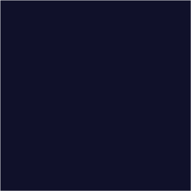 QCM NAVY BLUE